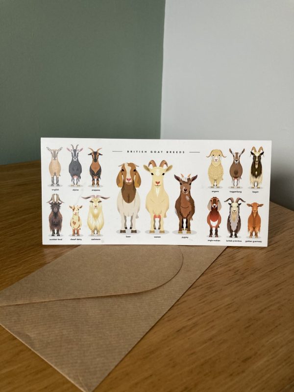 goat breeds greeting cards